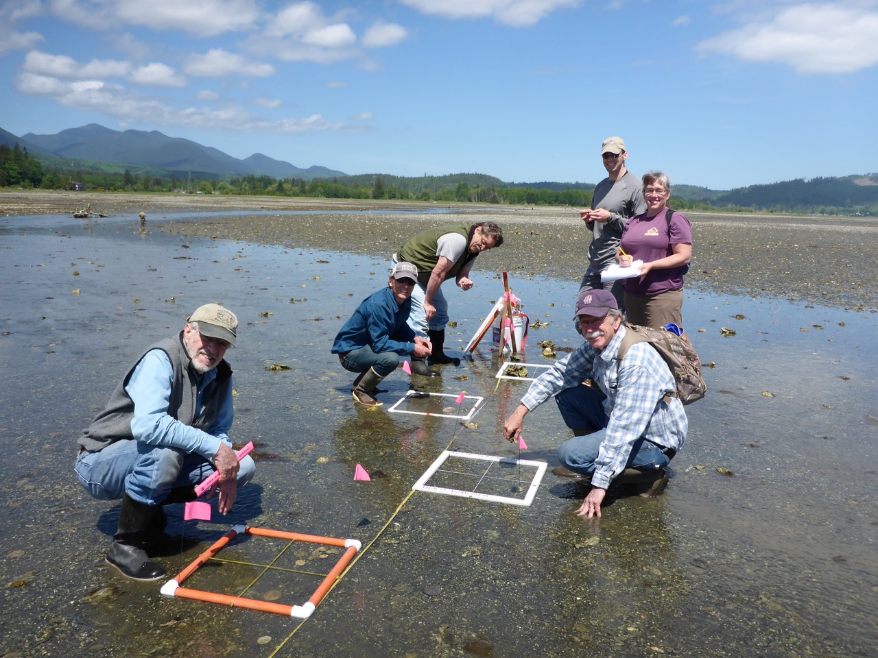 A group of researchers monitoring with quadrats along a transect line.