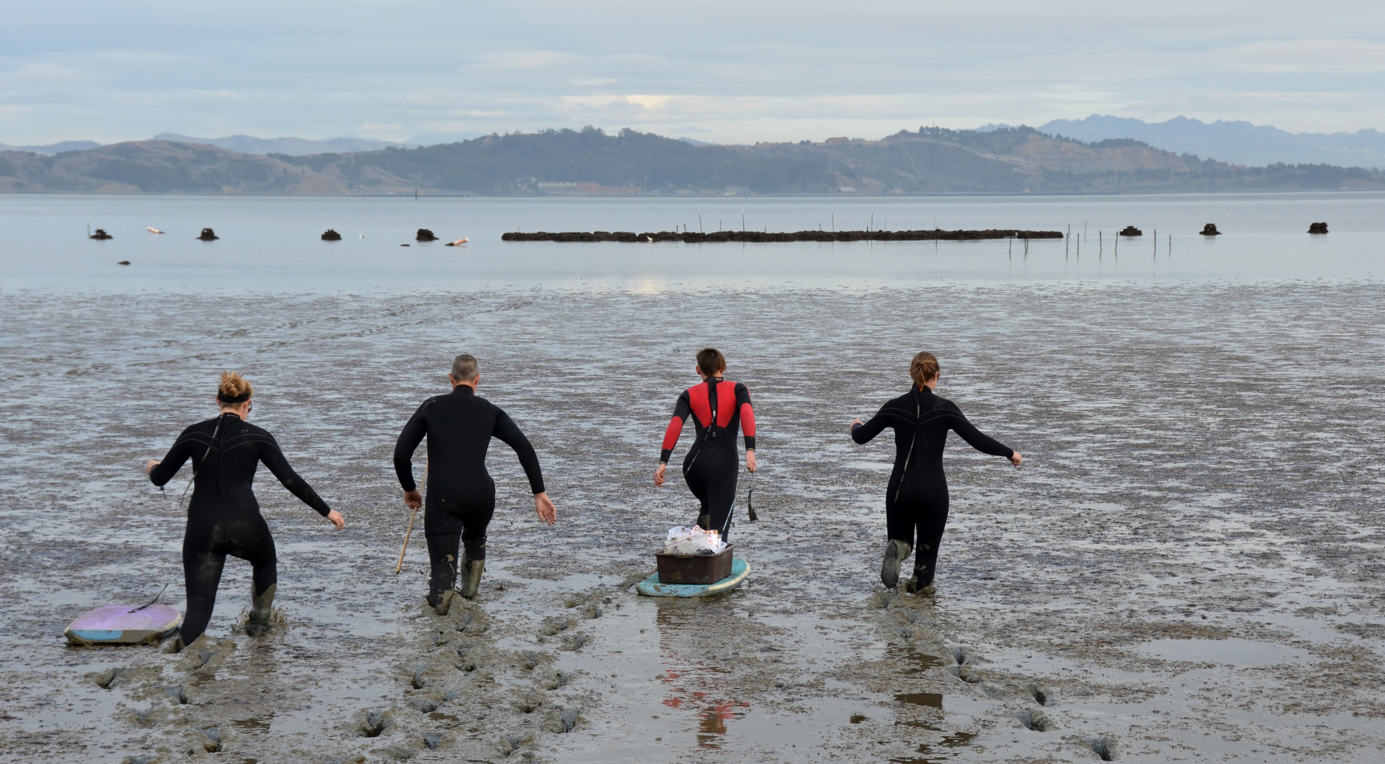 Wetsuited researchers walking out over mudflat.