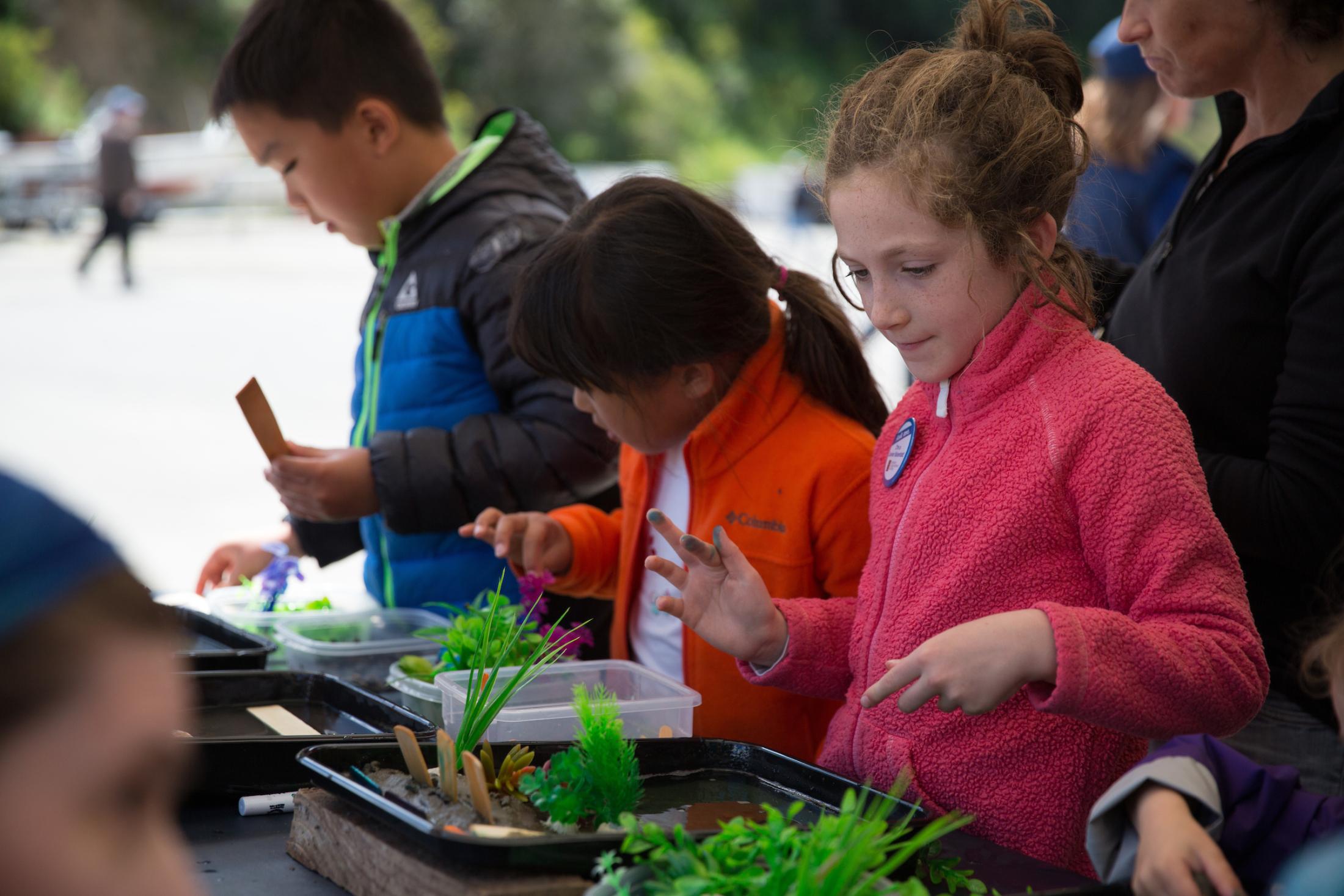 Students design miniature living shorelines.