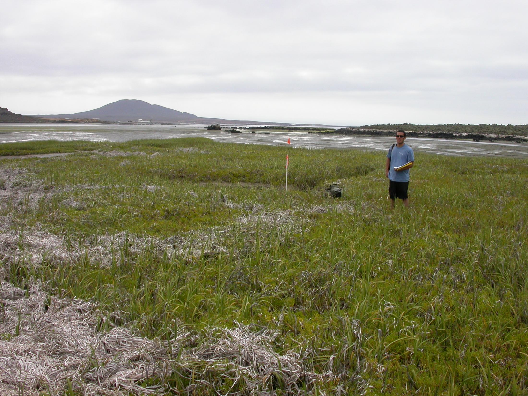 Field surveys in Baja California