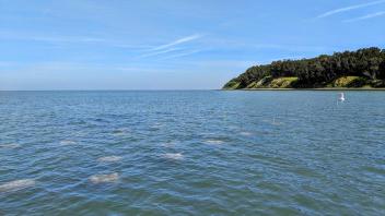 Oyster restoration structures under water, San Francisco Bay. Photo: Marilyn Latta, California State Coastal Conservancy