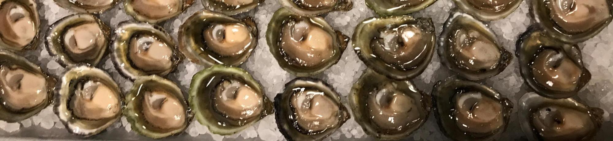 Olympia oysters on the half shell.