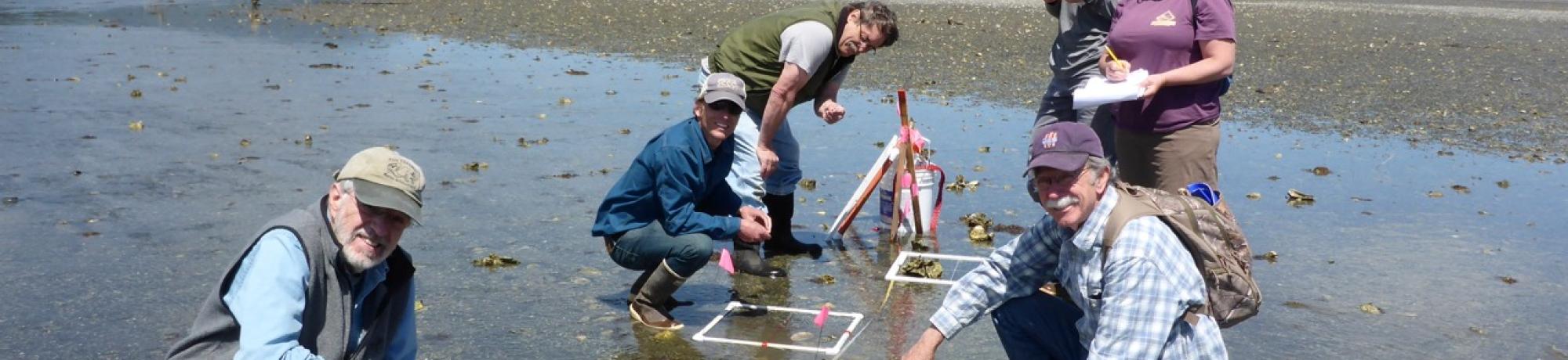 People monitoring in Quilcene Bay.