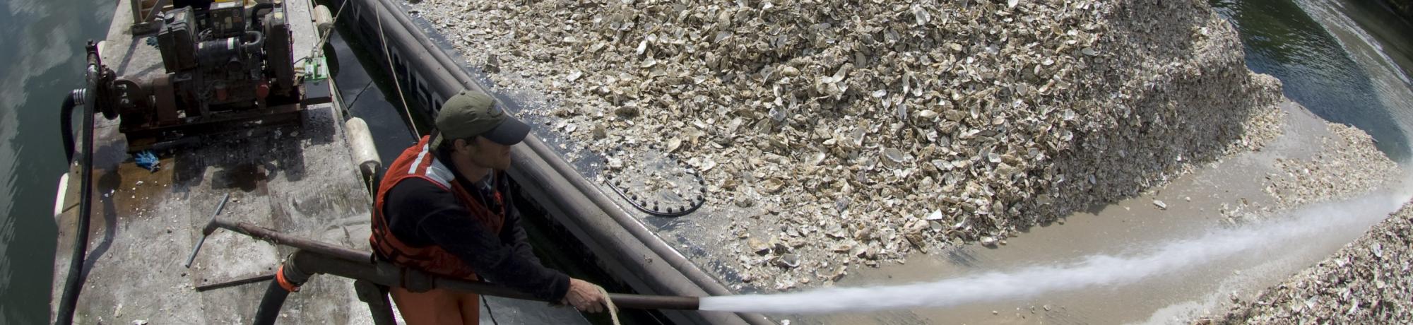 Spreading oyster shell from a barge