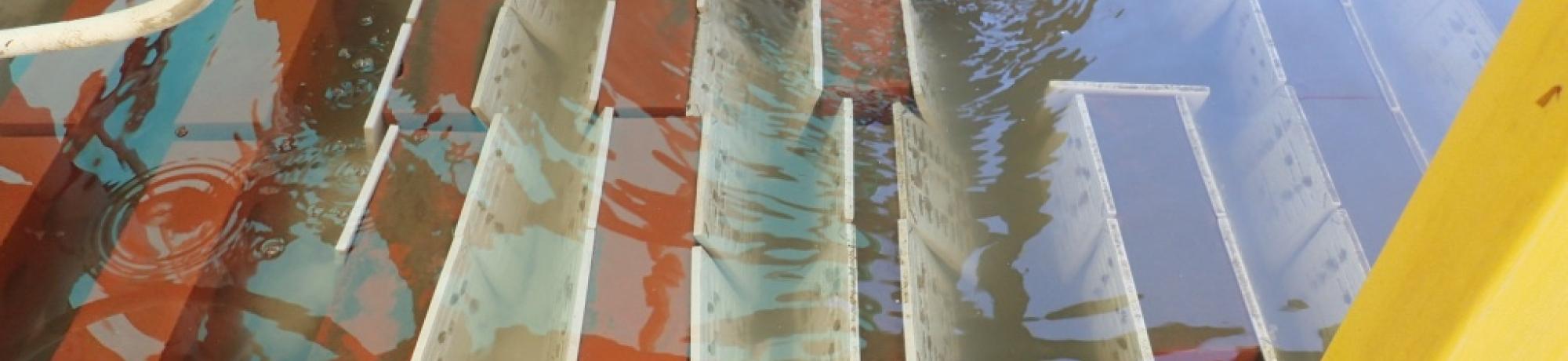 Oyster spat on experimental tiles in a flow tank
